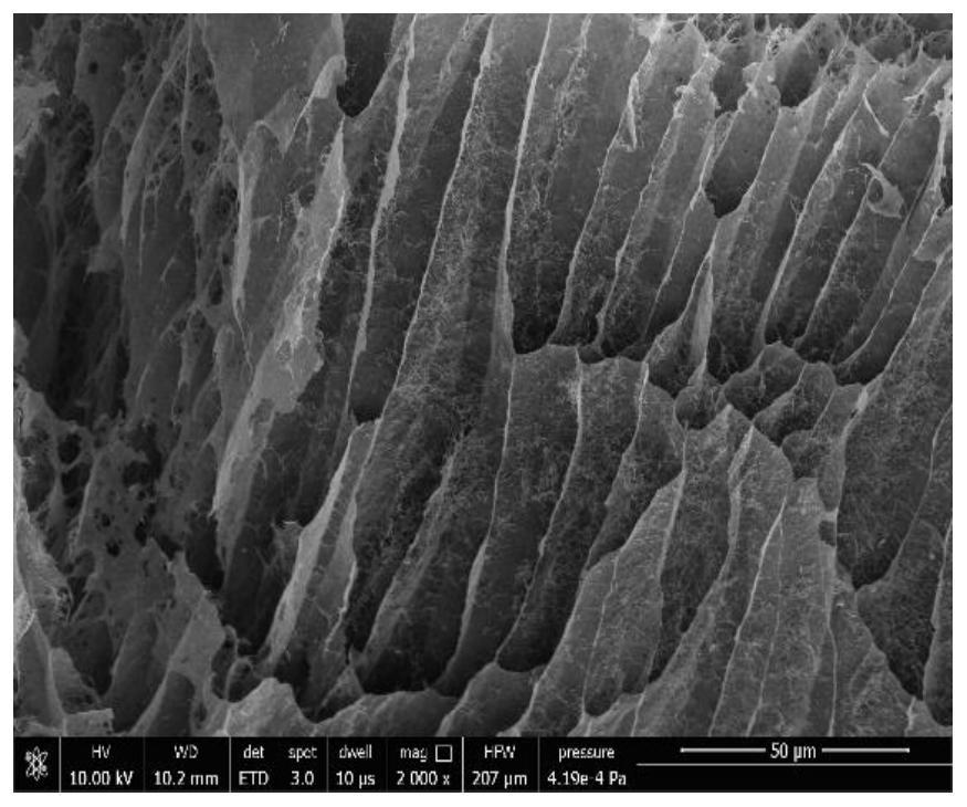 Chitosan-tungsten disulfide aerogel composite material as well as preparation method and application thereof