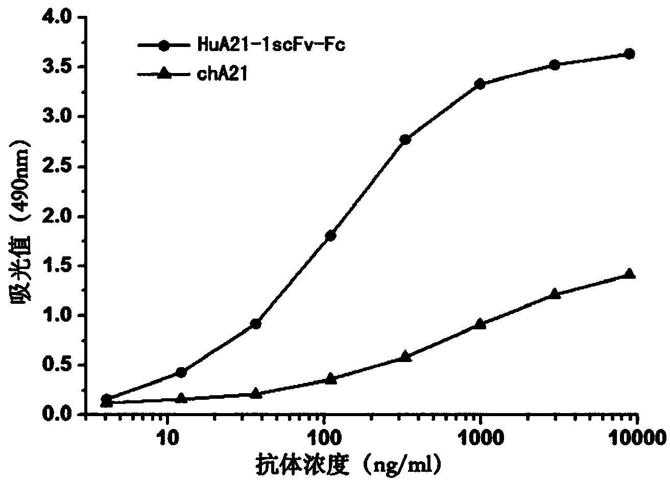 HER2-resistant humanized antibody and relevant tumor-resistant composition thereof