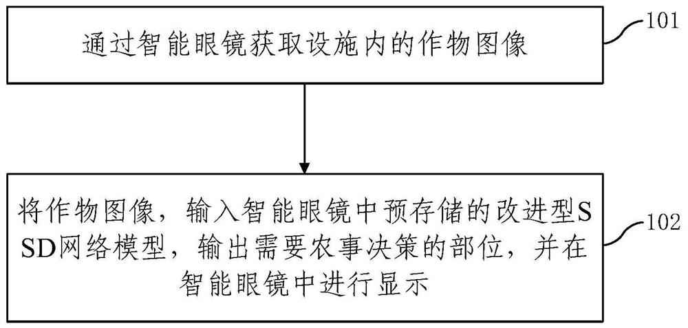 Facility tomato farming decision-making auxiliary method and device