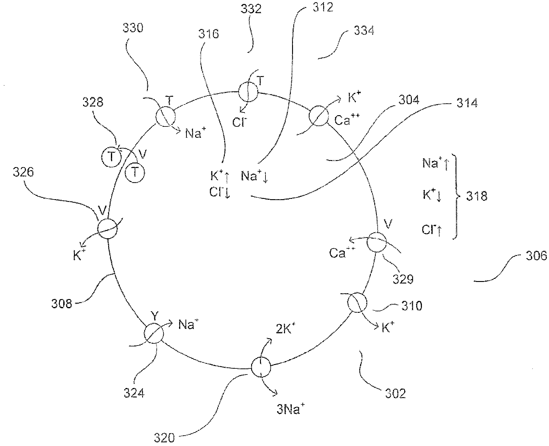 Neuromorphic circuit