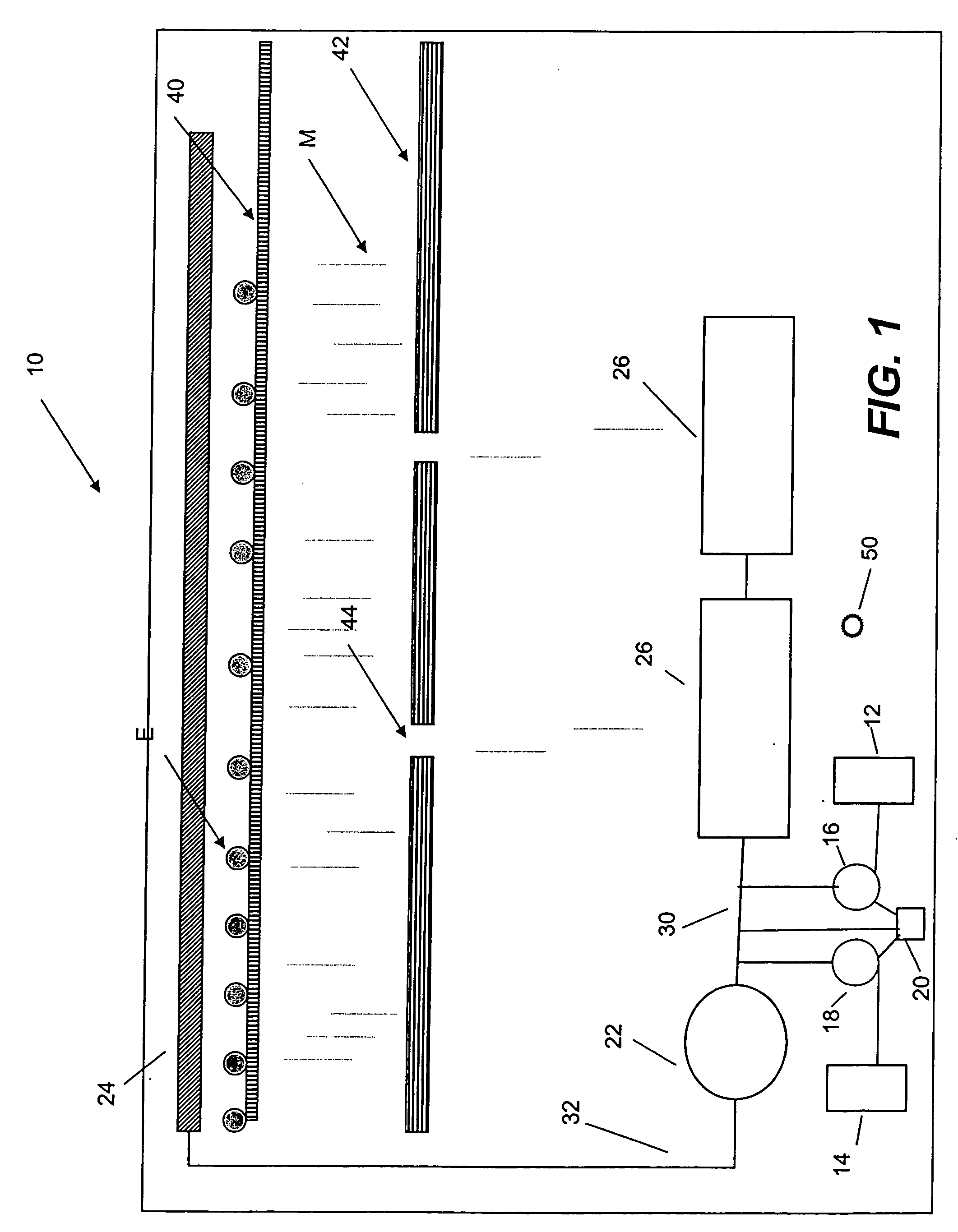 Automatic egg washing apparatus