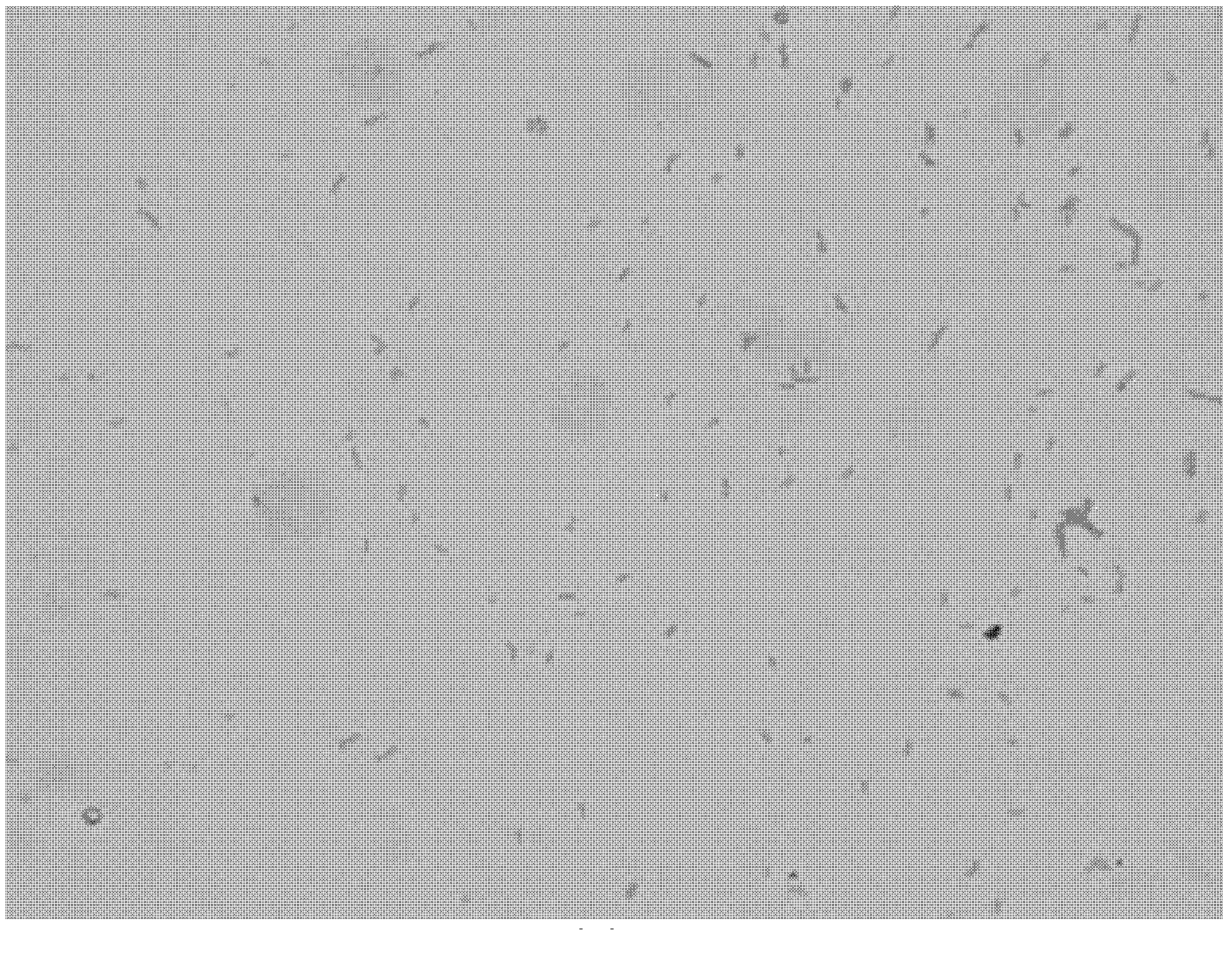 Oxalic acid degrading bacterium NJODL1 and application thereof