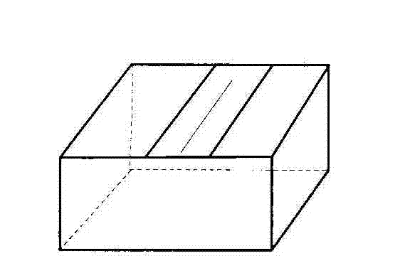 Microcosmic characterization method for smoke aerosol particles in cellosilk surface accumulation process and capturing and shooting device