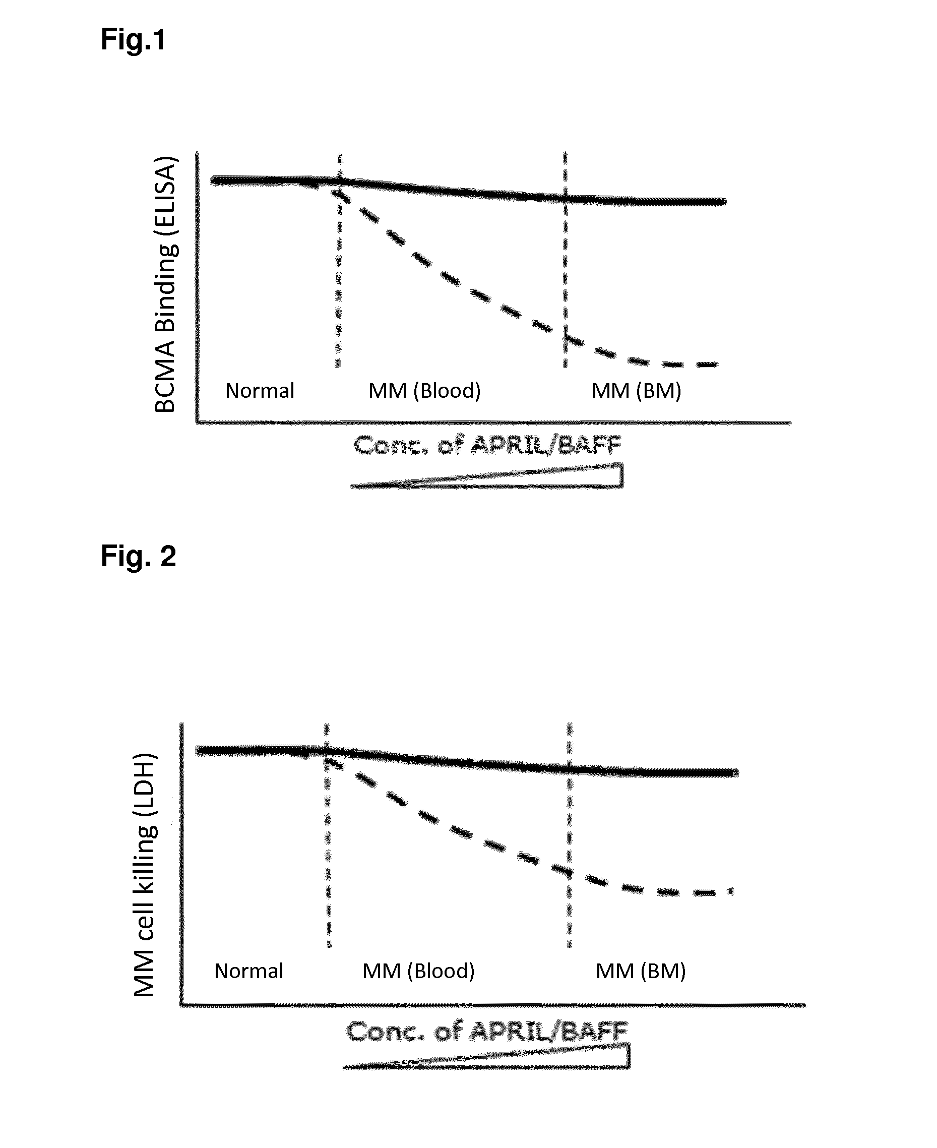 Method for the selection of antibodies against bcma