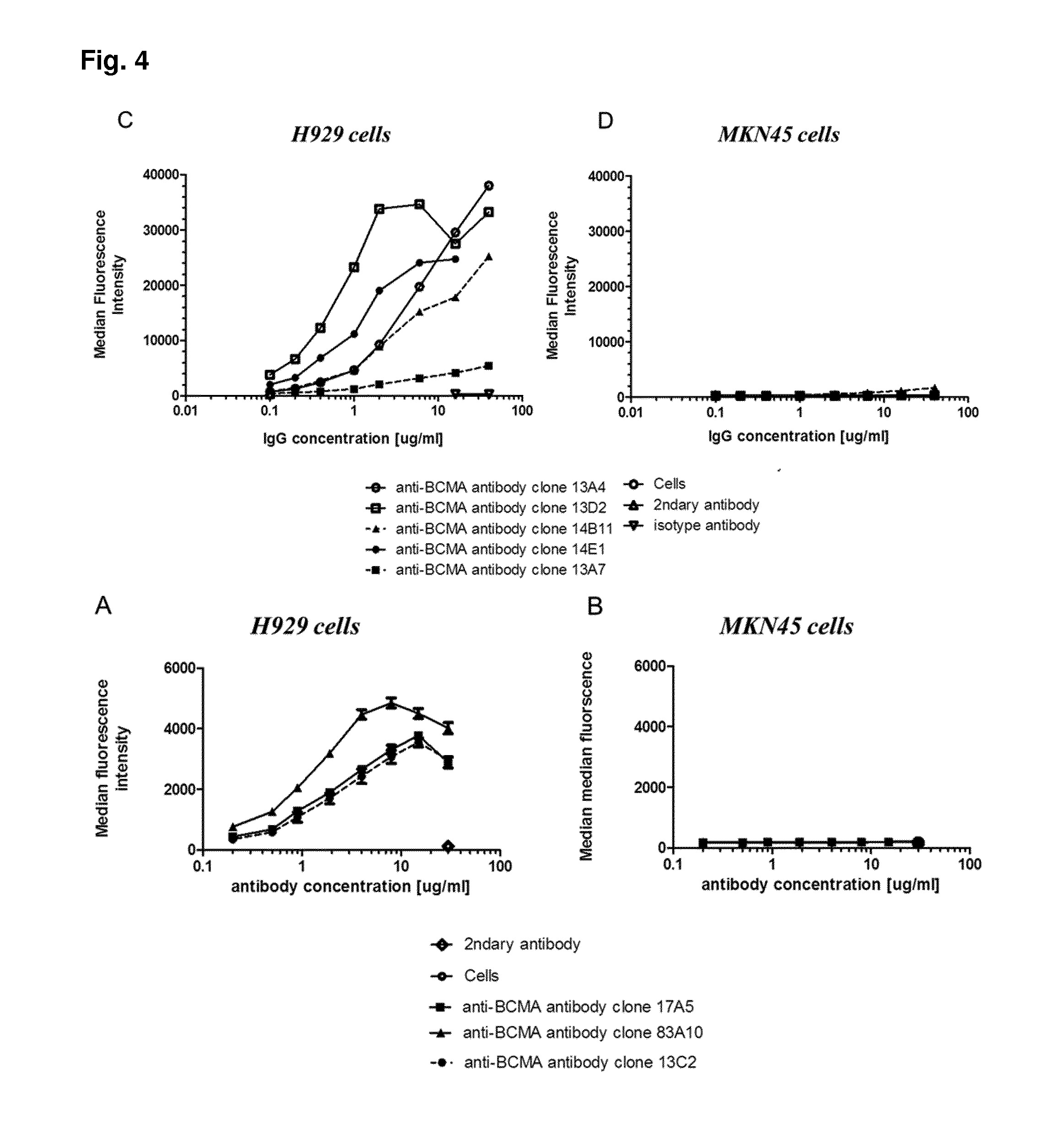 Method for the selection of antibodies against bcma