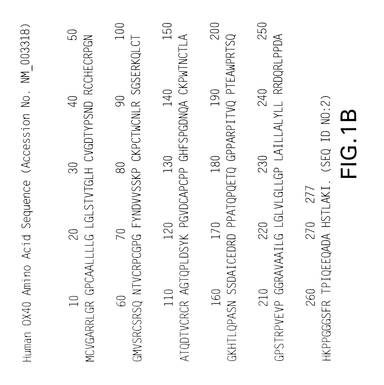 Antagonist ox40 antibodies and their use in the treatment of inflammatory and autoimmune diseases