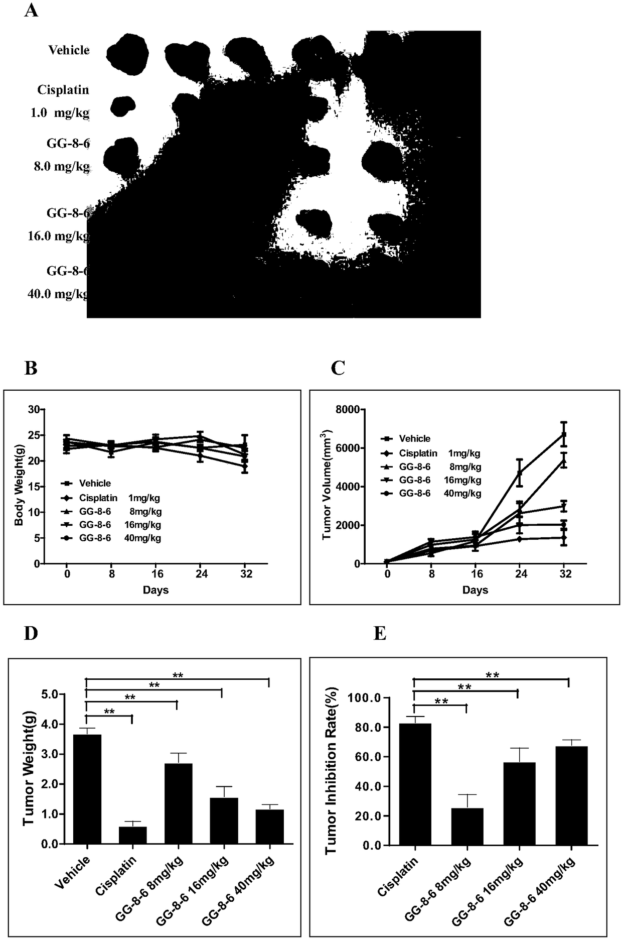 Cyclic peptide GG-8-6 as well as synthesis method and application thereof in preparation of drug for treating HCC (hepatocellular carcinoma)