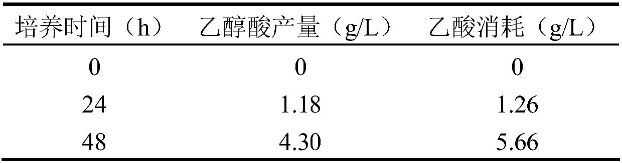 Genetic engineering bacterium for producing glycollic acid by acetic acid, and building method and application thereof