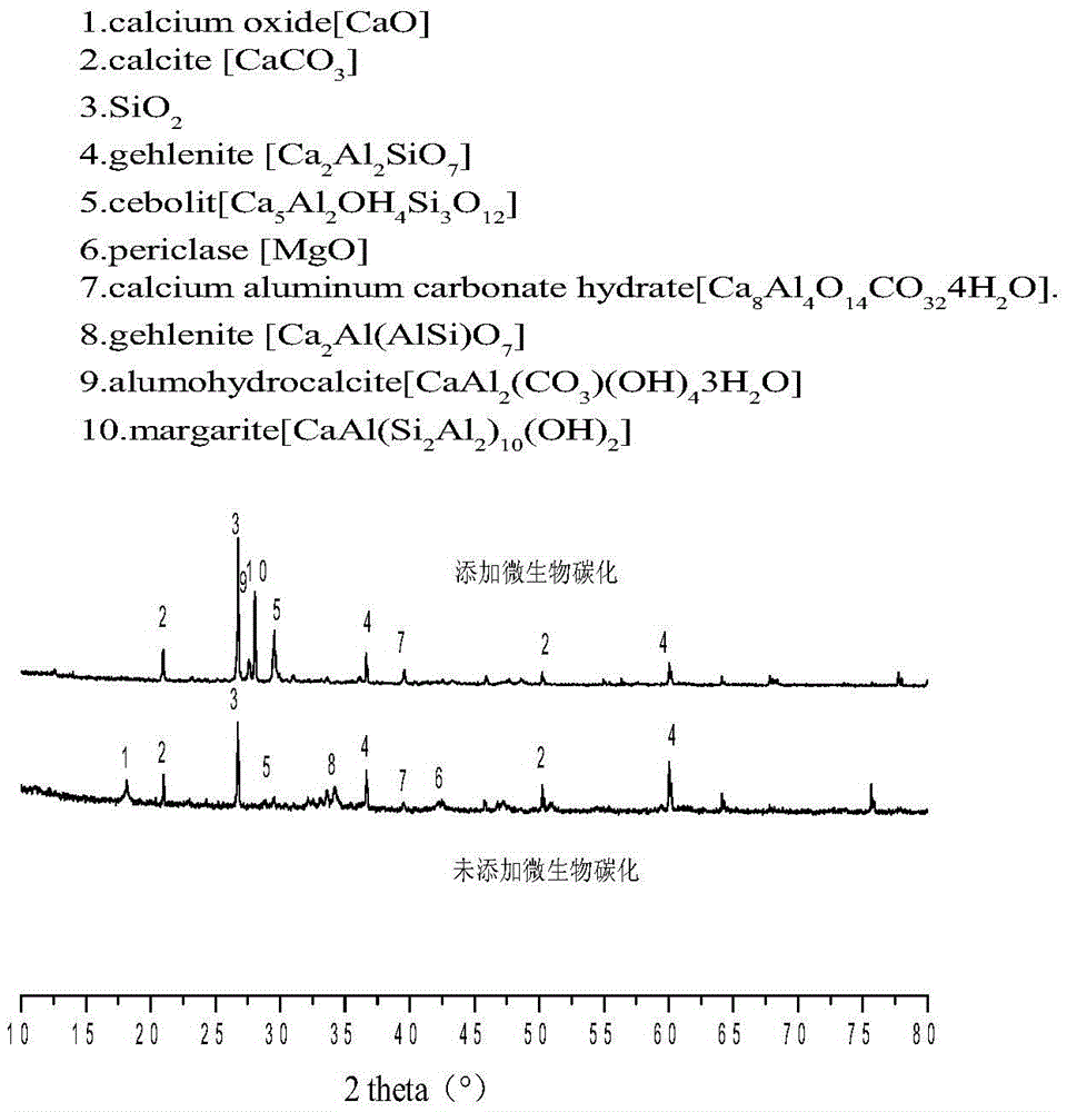 Method used for preparing solid waste building material products based on microorganism mineralization induction technology