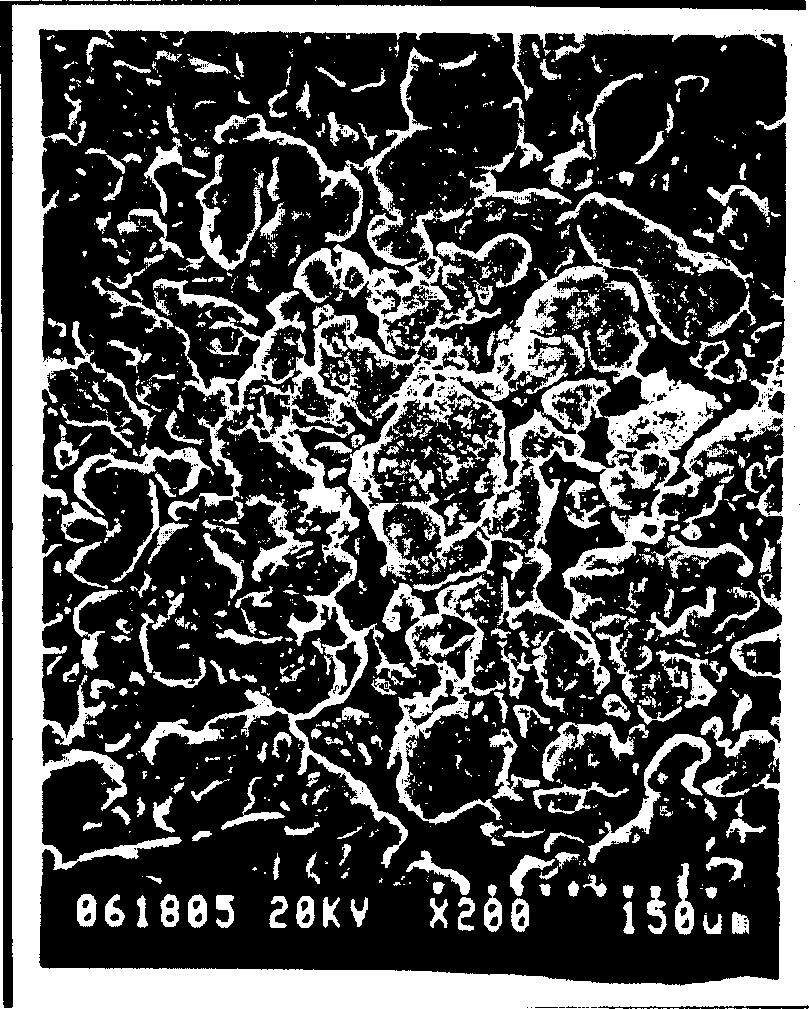 Three phase three-diemsnional electrode photoelectric reactor