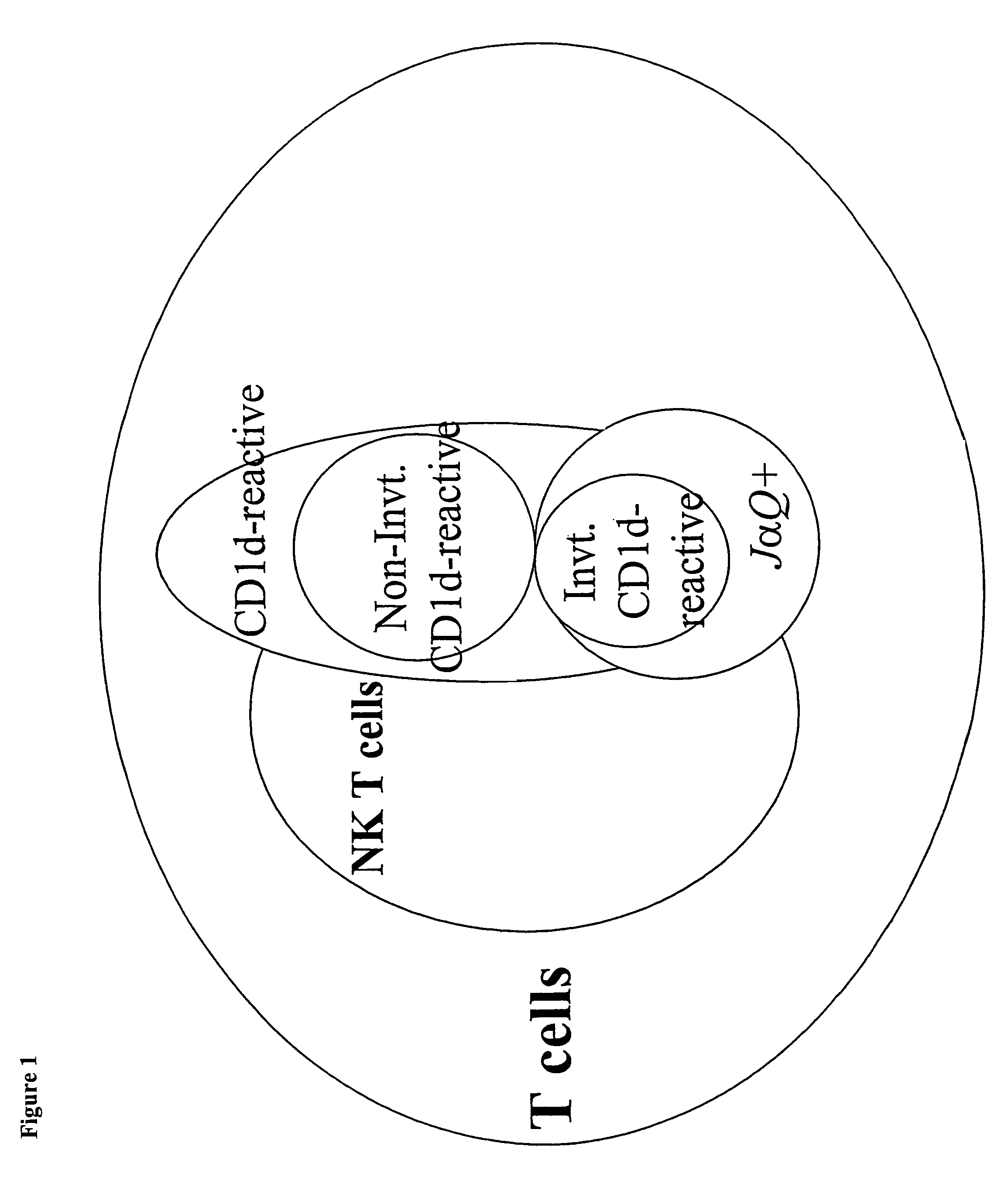 Compositions and methods of monoclonal and polyclonal antibodies specific for T cell subpopulations