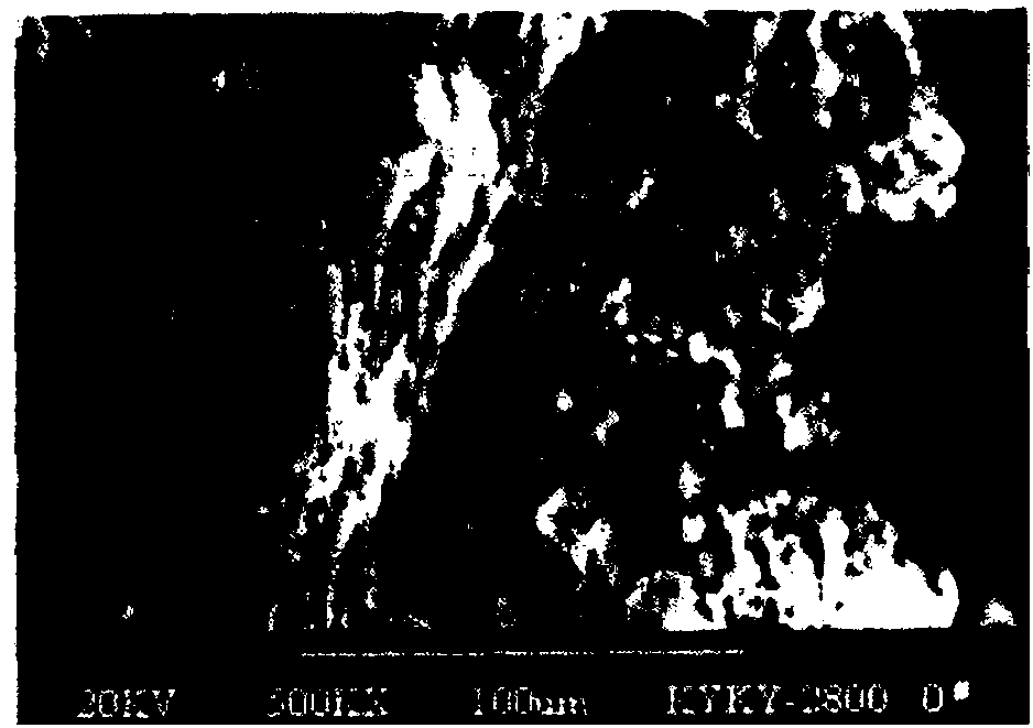 Sustaining nutrient meal package and preparation method thereof