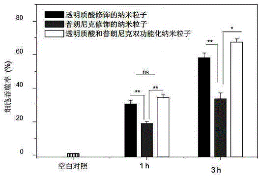 Targeted antitumor nano drug inhibiting expression of multi-drug resistance genes