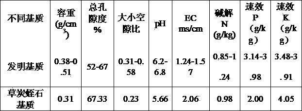 Bag-culture composite nutritional matrix for tomatoes and preparation and nutrient and water management methods thereof