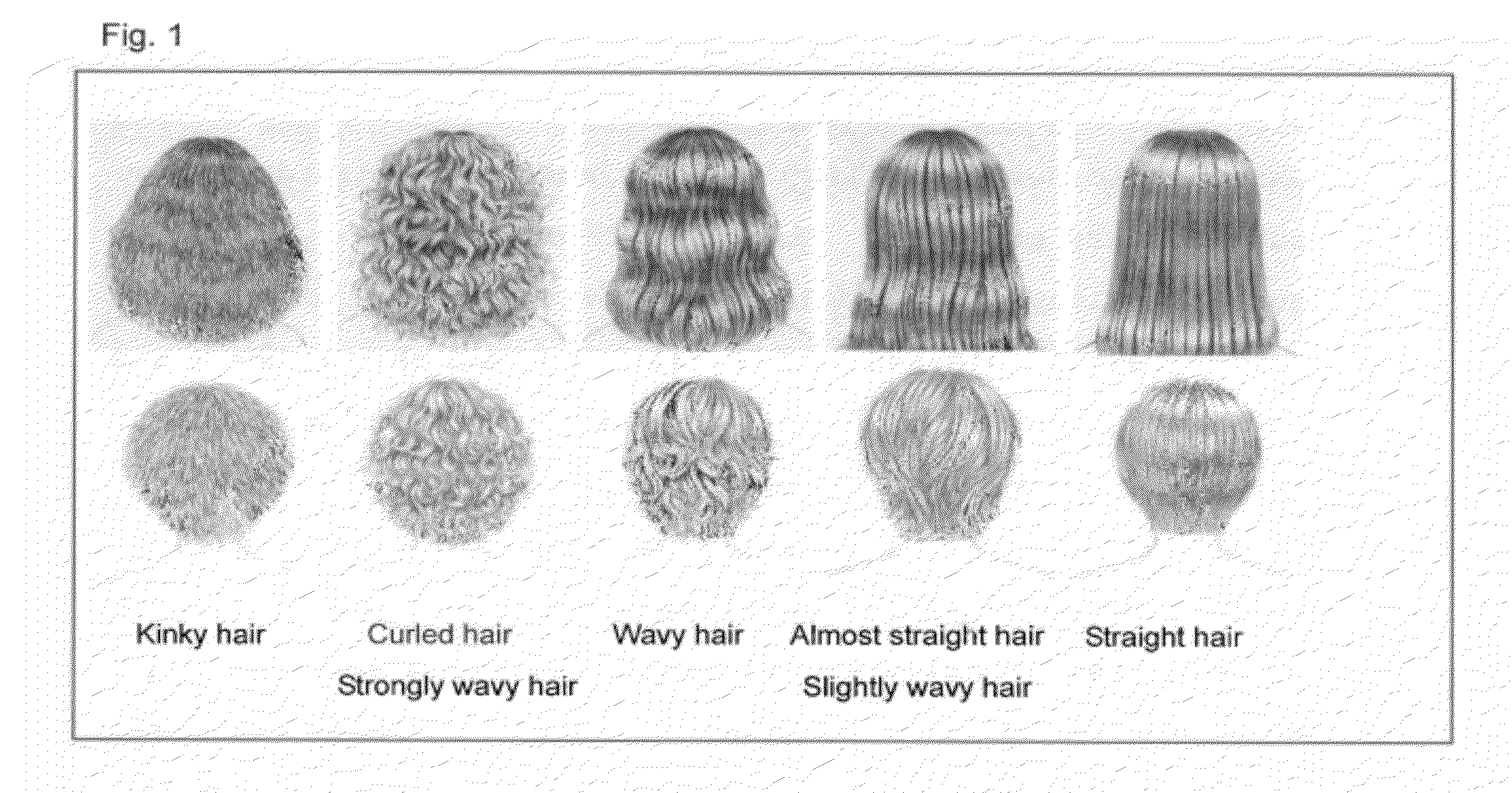 Hair Shape Susceptibility Gene