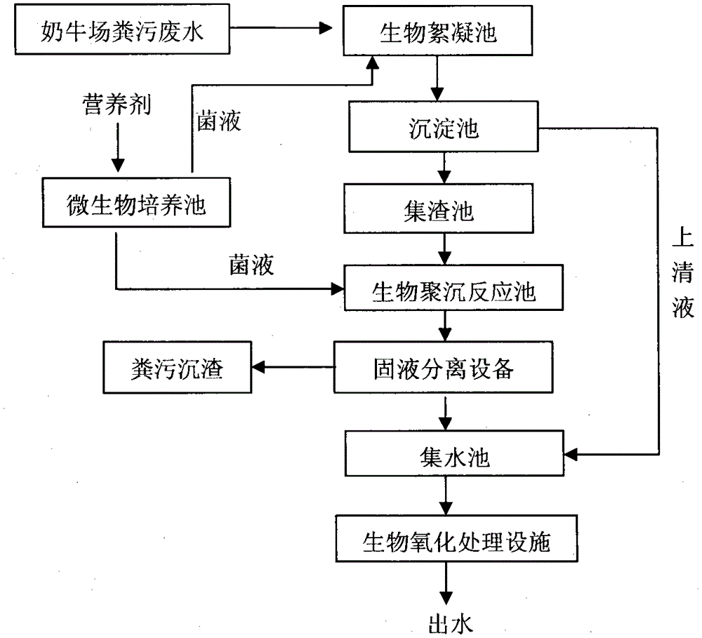 Method for quickly treating excrement wastewater in large-scale dairy farm