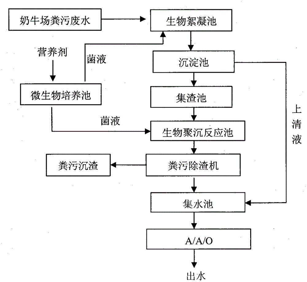 Method for quickly treating excrement wastewater in large-scale dairy farm