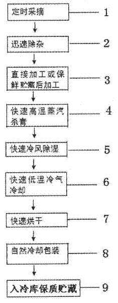 Production method of wild honeysuckle flower tea