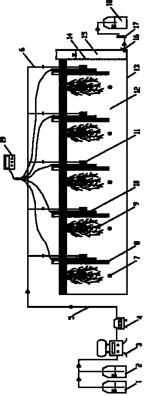 Polyaromatic hydrocarbon polluted soil phytoremediation simulation test system and simulation test method