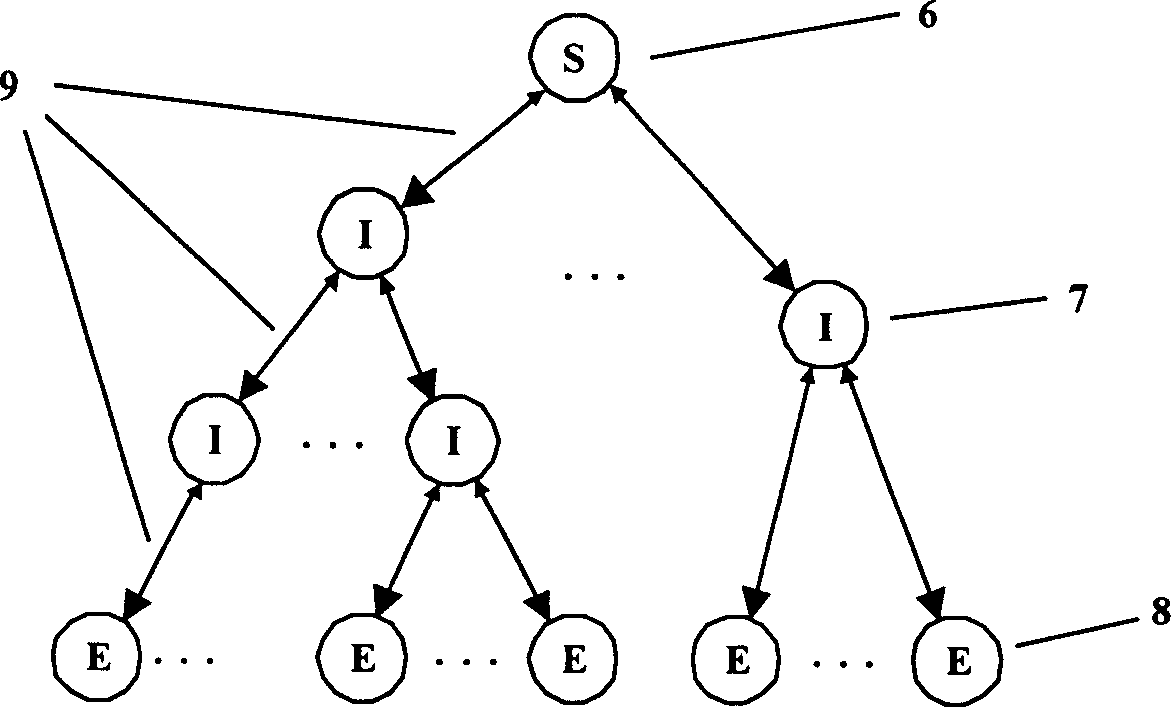 Network architecture and transmission method suitable for digital media release service