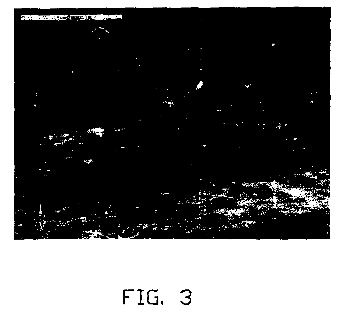 Method for manufacturing carbon nanotube composite