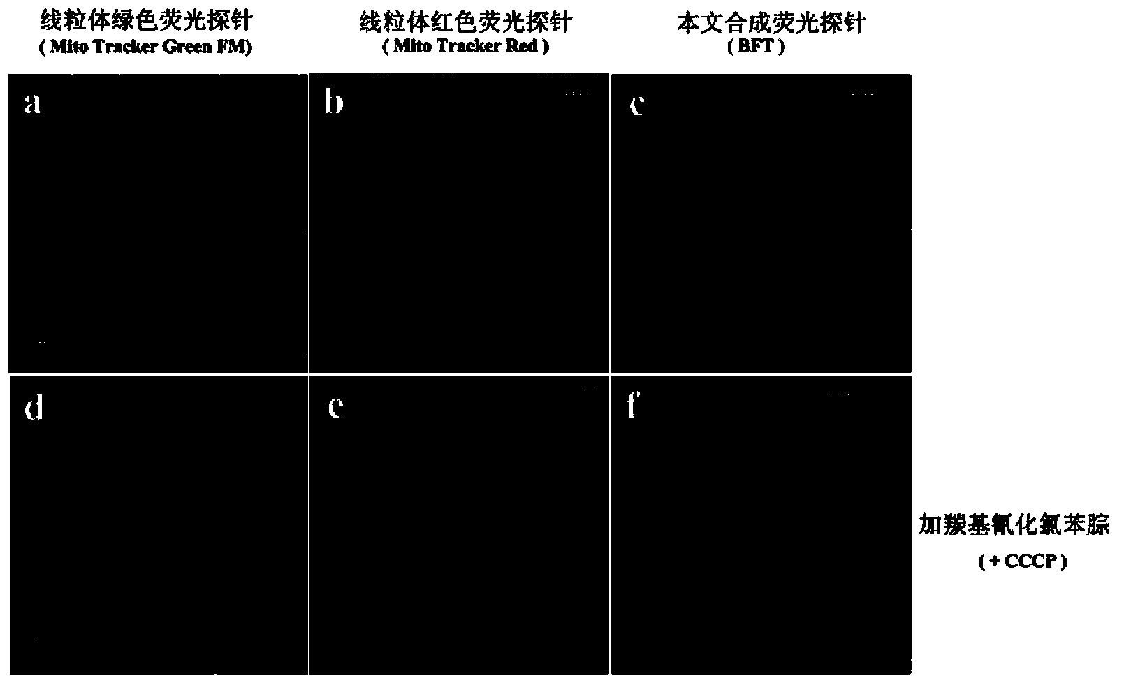 Cyanine compound and preparation method and application thereof