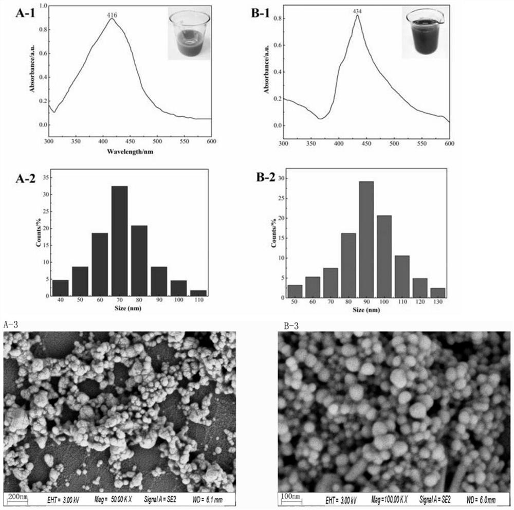 Preparation method and application of AgNPs (at) SASP substrate material