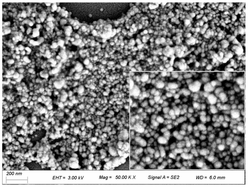 Preparation method and application of AgNPs (at) SASP substrate material