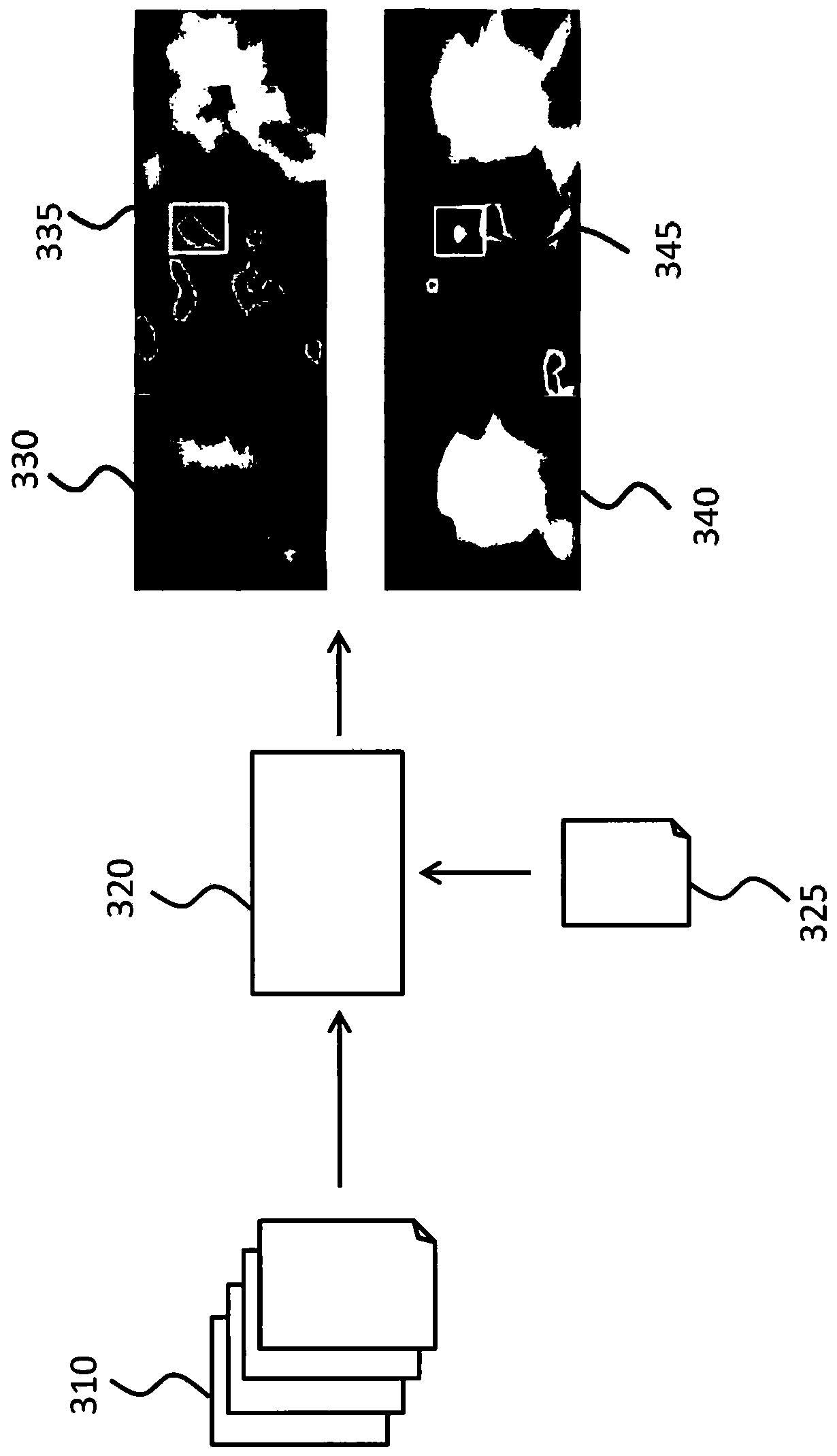 Feature identification in medical imaging