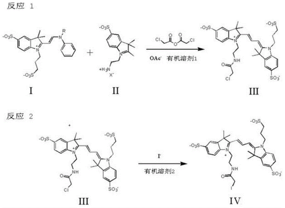 Trimethyl cyanine fluorescence probe used for protein labeling and synthetic method thereof