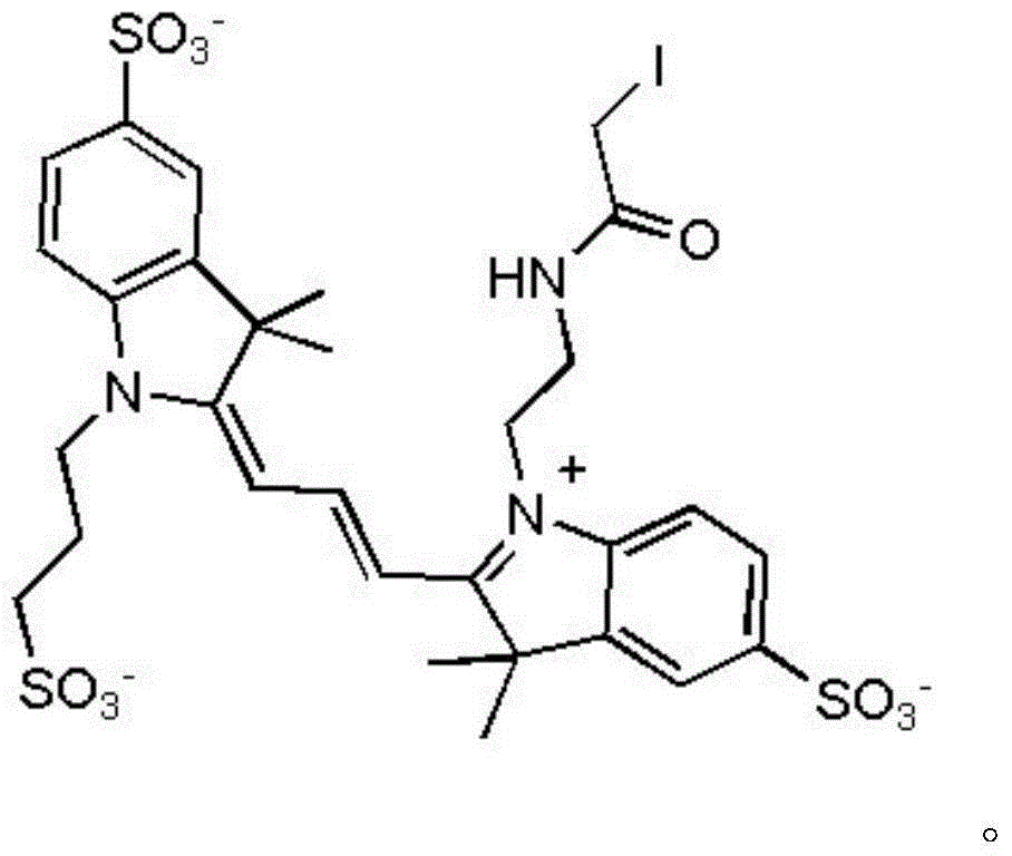 Trimethyl cyanine fluorescence probe used for protein labeling and synthetic method thereof