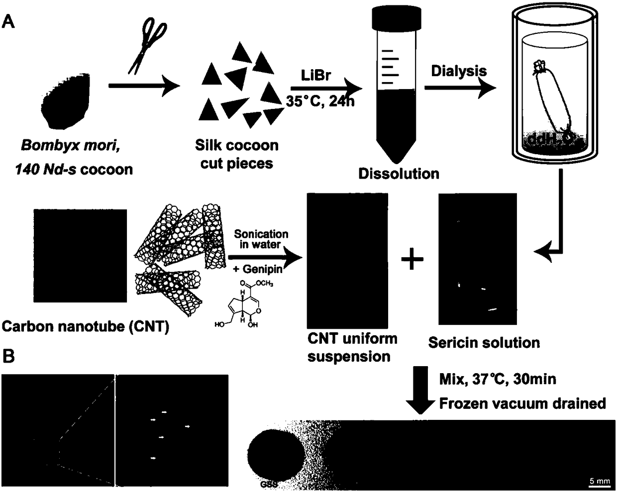 A kind of sericin conductive hydrogel and preparation method thereof and stent prepared therefrom