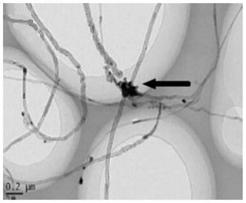 A kind of carbon nanotube composite absorbing material and preparation method thereof