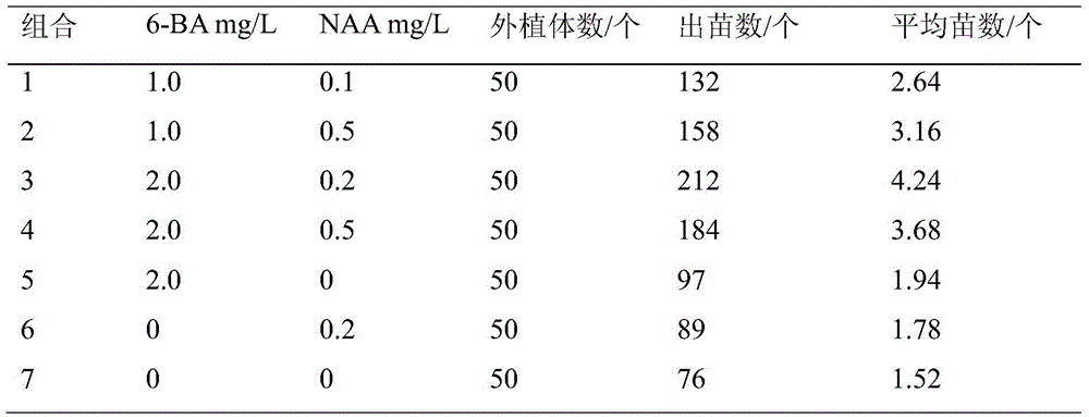 Rapid propagation method for dendrobium hancockii seeds