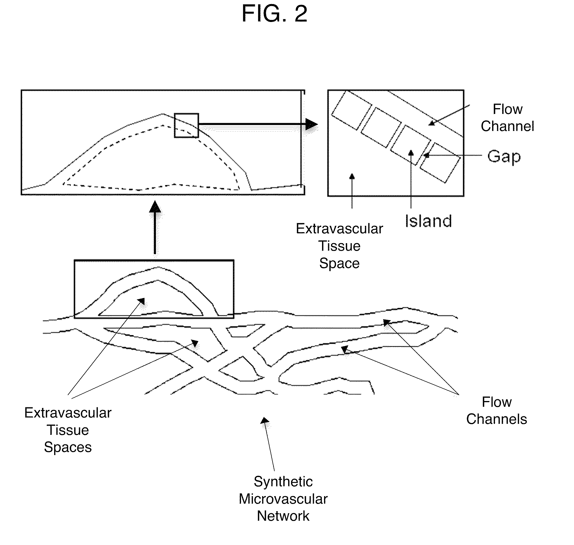 Synthetic microfluidic blood-brain barrier