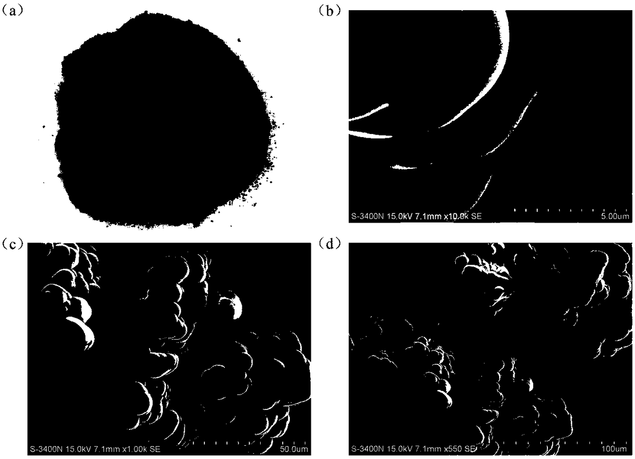 Micro/nano size beta-cyclodextrin polymer powder as well as preparation method and application thereof