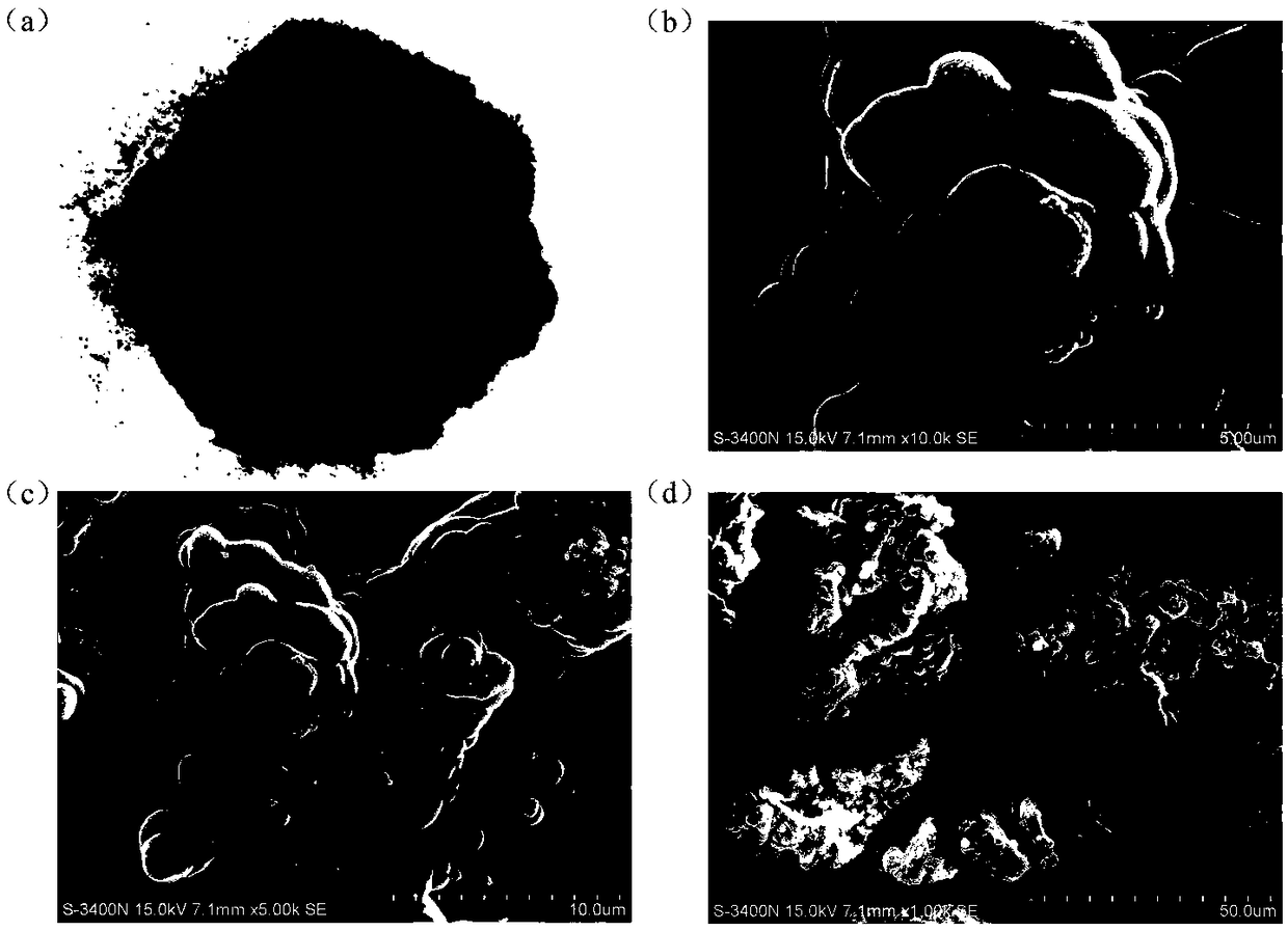 Micro/nano size beta-cyclodextrin polymer powder as well as preparation method and application thereof