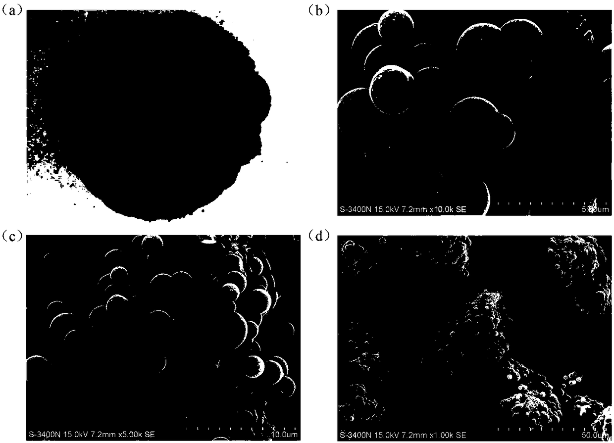 Micro/nano size beta-cyclodextrin polymer powder as well as preparation method and application thereof