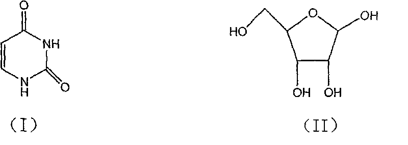 Novel method for synthesizing uridine