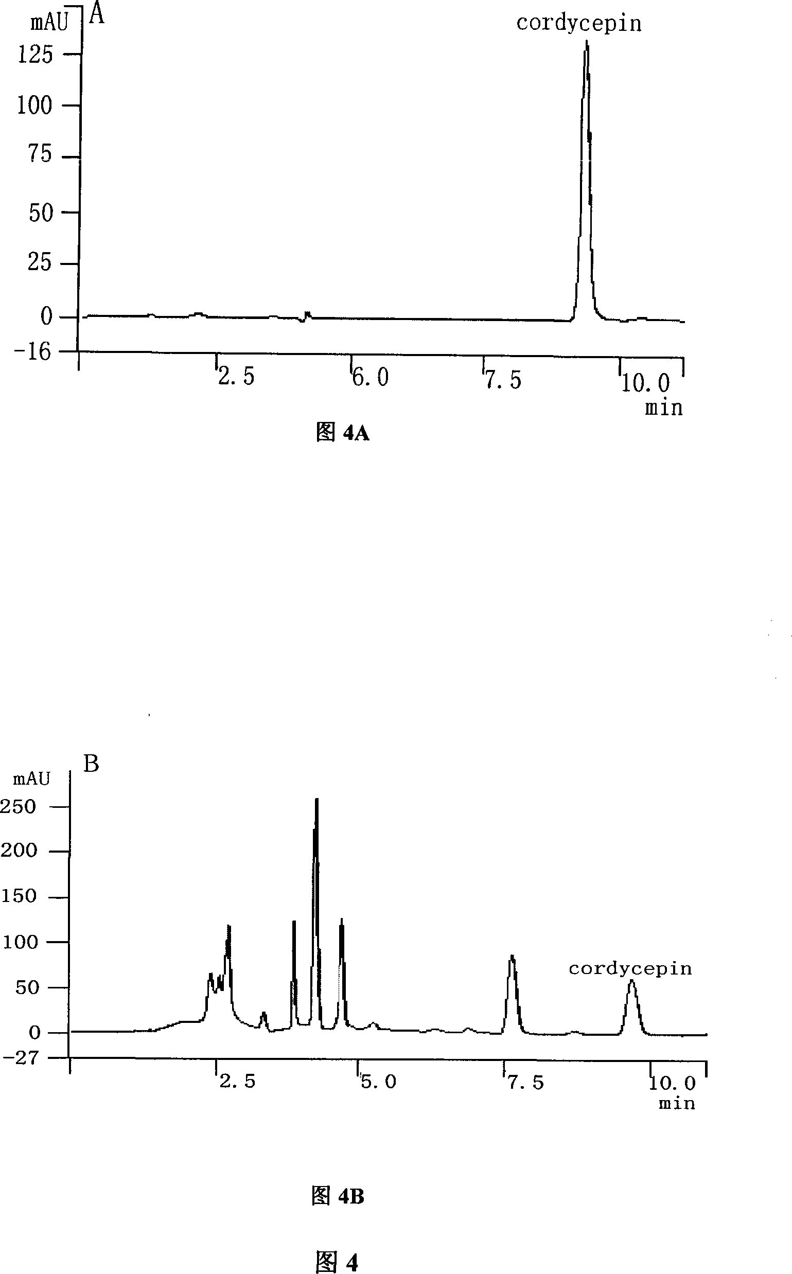 Method for producing cordycepin, breeding of high production cordyceps militaris link bacterial strain BYB-08 and application