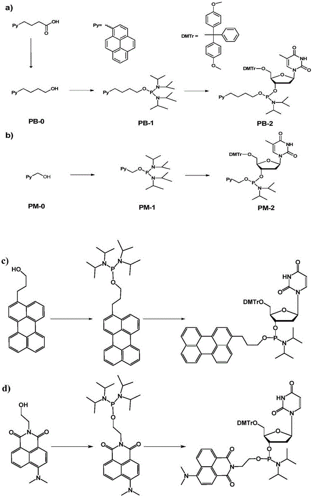 Chromophore-modified deoxynucleoside phosphoramidite monomer compound, preparation method therefor and application thereof