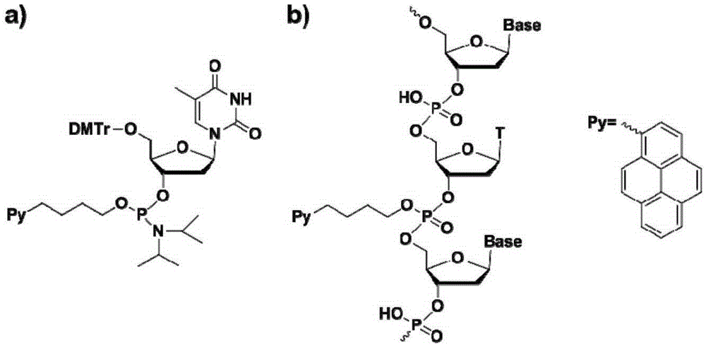 Chromophore-modified deoxynucleoside phosphoramidite monomer compound, preparation method therefor and application thereof