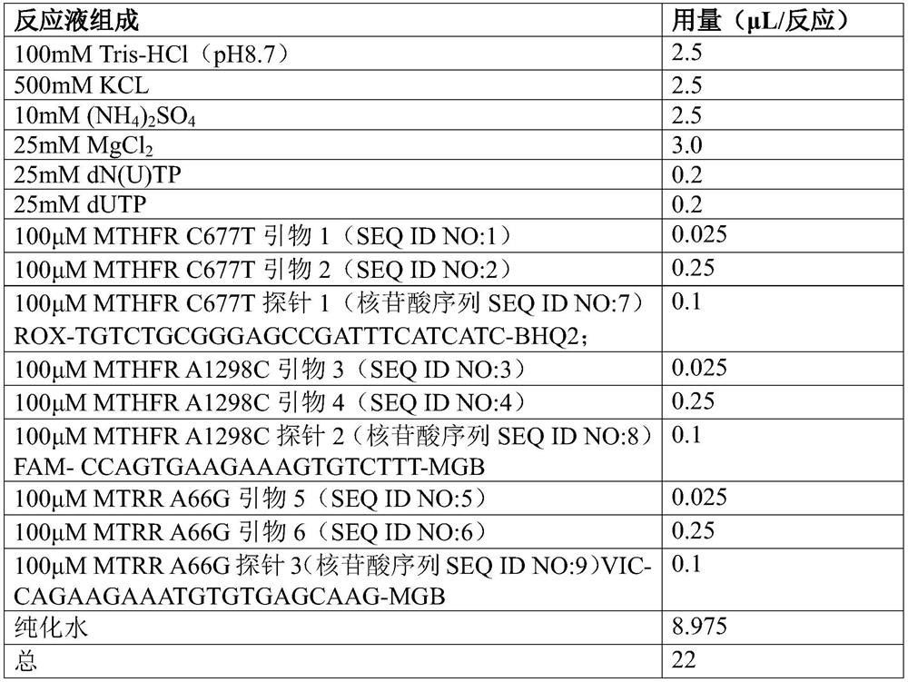 A primer, probe and kit for detecting human mthfr and mtrr gene mutations