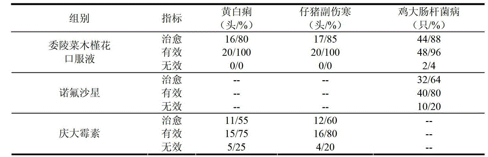 Medicinal composition for treating bacterial diarrhea of livestock as well as preparation method and application thereof