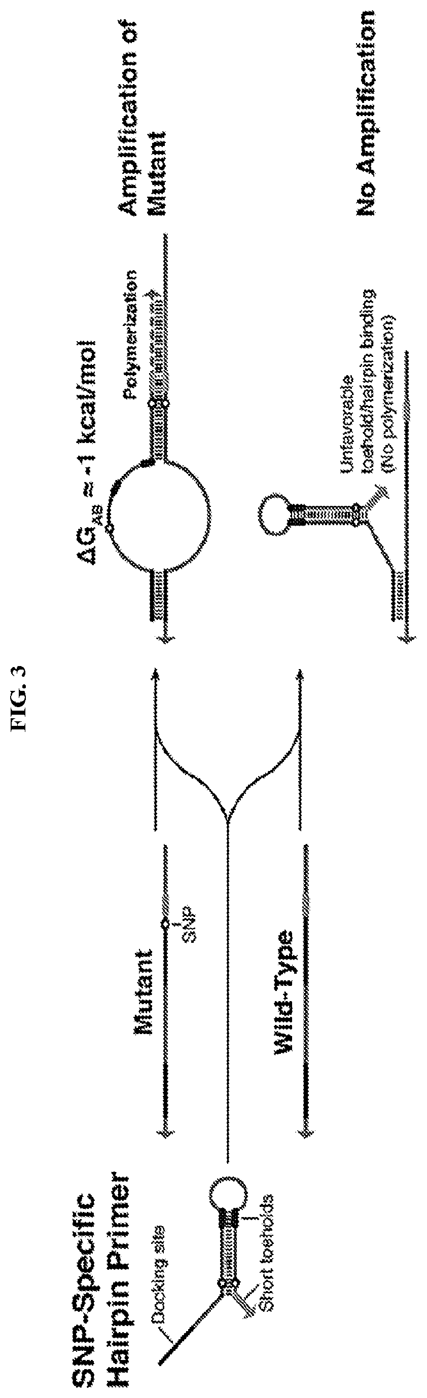 Ultraspecific nucleic acid sensors for low-cost liquid biopsies