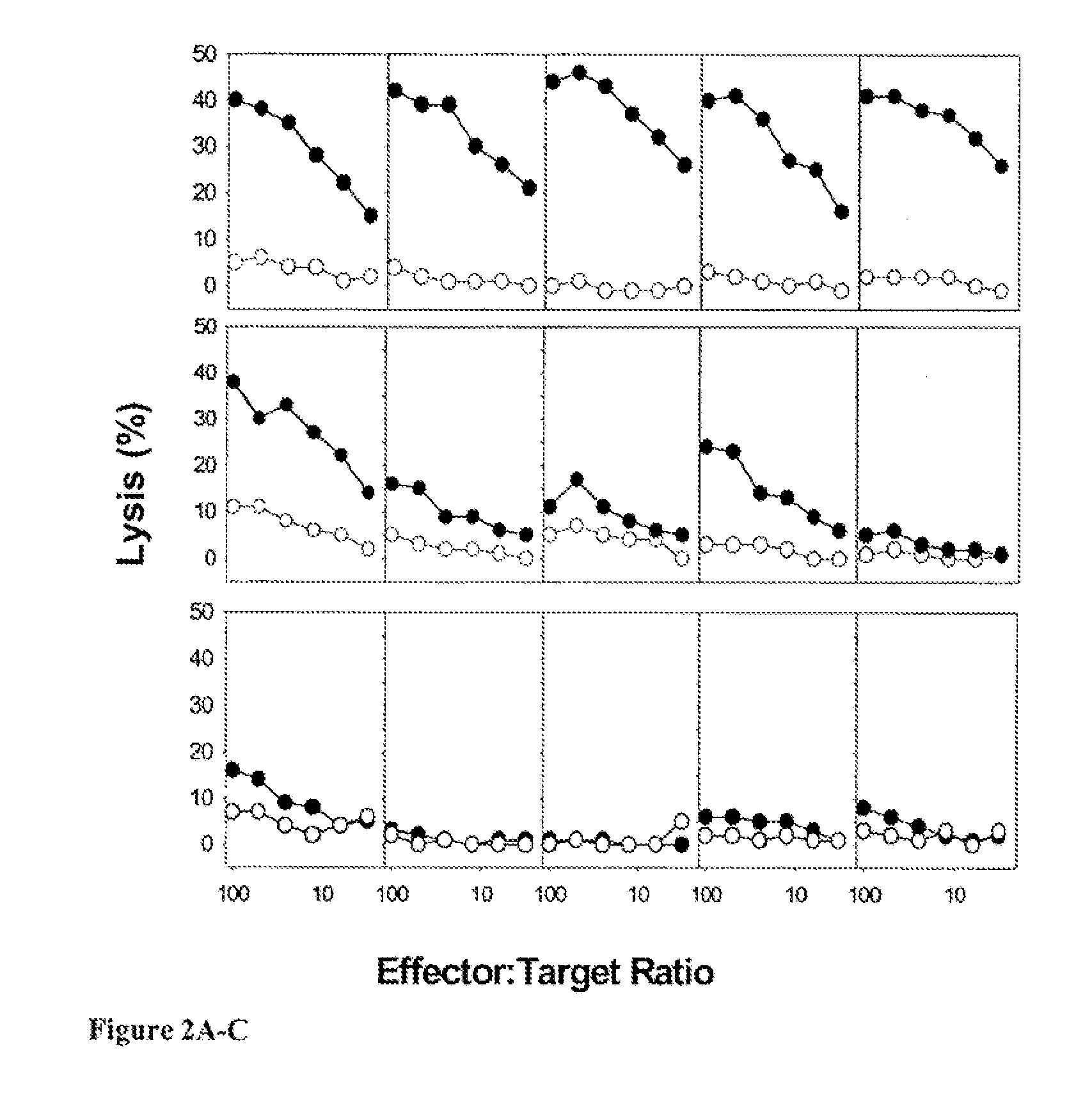 Compositions and methods for delivery of proteins and adjuvants encapsulated in microspheres