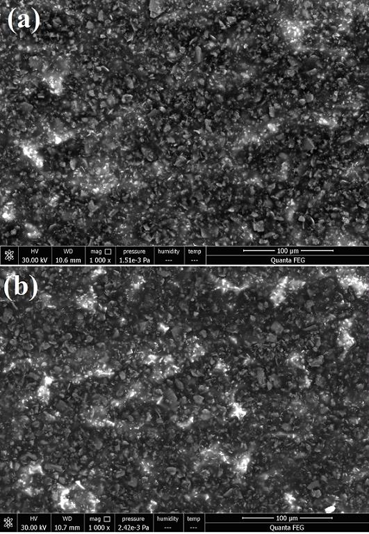 Polysiloxane long-acting lubricating protective paint with space environment resistance