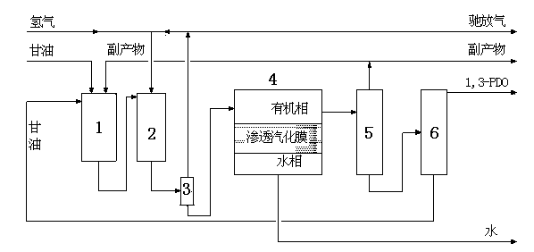 Technological method for preparing 1, 3-propylene glycol by adopting glycerin and hydrogen