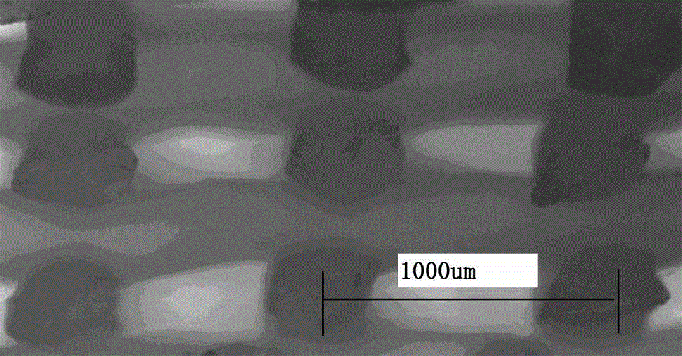 Method for preparing high-strength double-network hydrogel stent by virtue of 3D printing