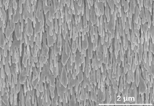 Cytochrome detection method based on surface enhanced Raman